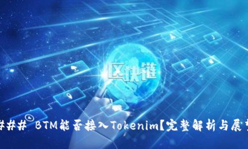 ### BTM能否接入Tokenim？完整解析与展望