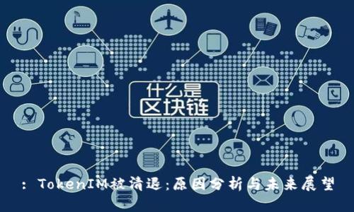 : TokenIM被清退：原因分析与未来展望