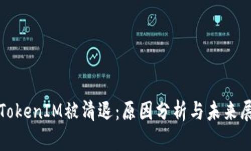 : TokenIM被清退：原因分析与未来展望