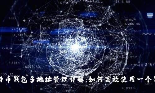 比特币钱包多地址管理详解：如何高效使用一个钱包