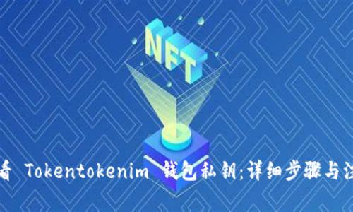 如何查看 Tokentokenim 钱包私钥：详细步骤与注意事项