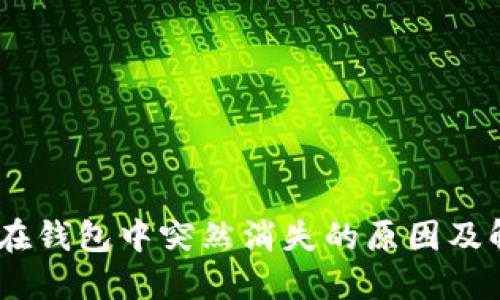 USDT币在钱包中突然消失的原因及解决方法
