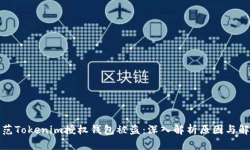 如何防范Tokenim授权钱包被盗：深入解析原因与解决方案