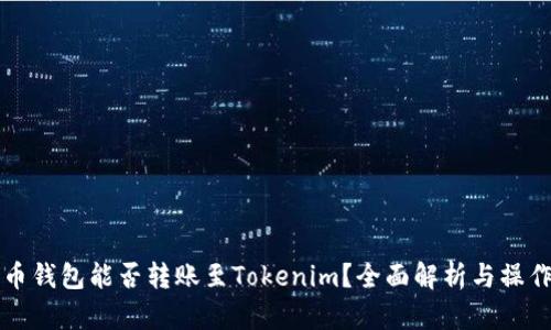 比特币钱包能否转账至Tokenim？全面解析与操作指南