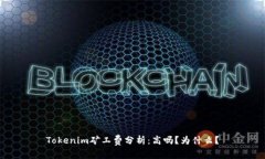 Tokenim矿工费分析：高吗？