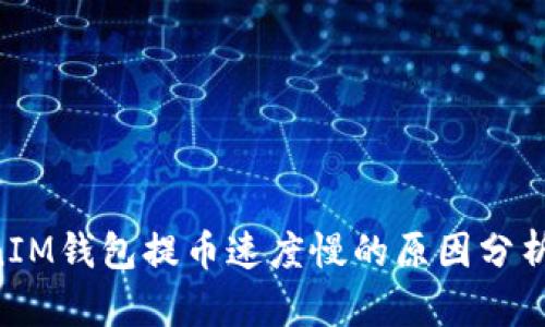 TokenTokenIM钱包提币速度慢的原因分析及解决方案