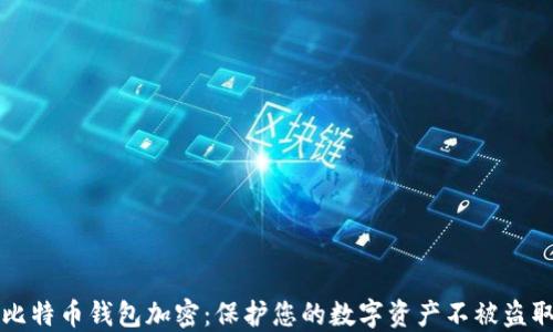 
比特币钱包加密：保护您的数字资产不被盗取