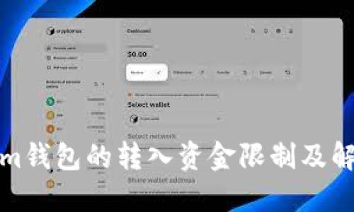 Tokenim钱包的转入资金限制及解决方案