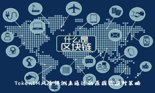 TokenIM风险评测未通过的原因及应对策略