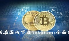 如何在国内下载Tokenim：全