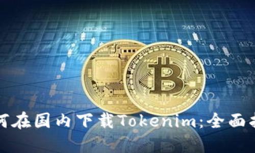 如何在国内下载Tokenim：全面指南