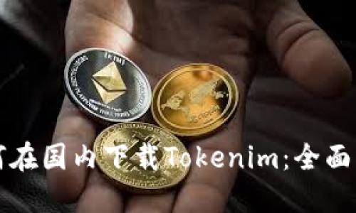 如何在国内下载Tokenim：全面指南