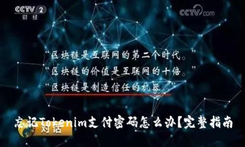 忘记Tokenim支付密码怎么办？完整指南