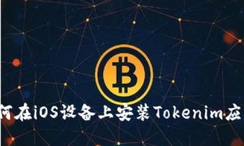 如何在iOS设备上安装Tokenim应用？