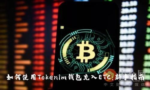 如何使用Tokenim钱包充入ETC：新手指南