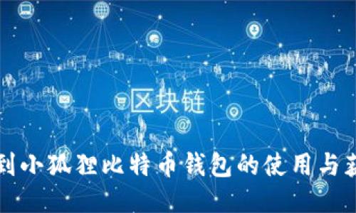如何找到小狐狸比特币钱包的使用与获取指南