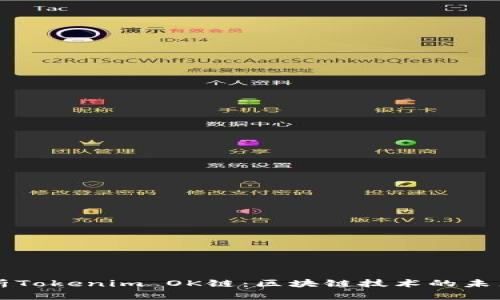 深入解析Tokenim OK链：区块链技术的未来与应用