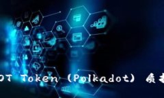 如何进行DOT Token (Polkadot