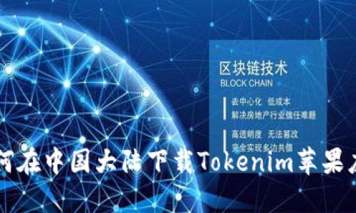 如何在中国大陆下载Tokenim苹果应用