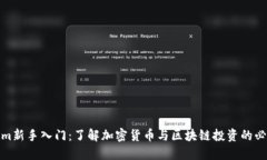 Tokenim新手入门：了解加密