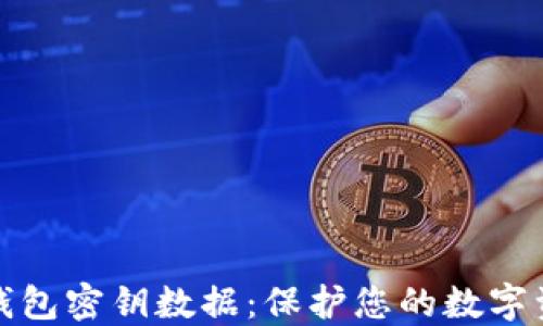 
比特币钱包密钥数据：保护您的数字资产安全