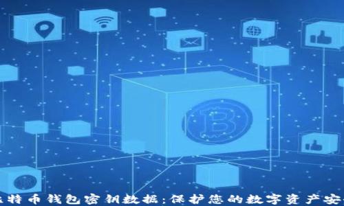 
比特币钱包密钥数据：保护您的数字资产安全