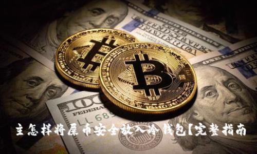 主怎样将屎币安全放入冷钱包？完整指南