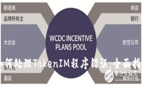 如何处理TokenIM程序错误：全面指南