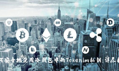 如何安全地使用冷钱包中的Tokenim私钥：详尽指南