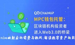 Tokenim映射后的前景与挑战