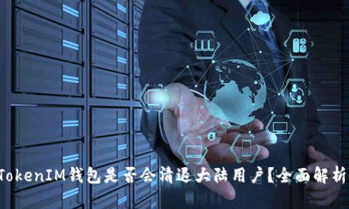 TokenTokenIM钱包是否会清退大陆用户？全面解析与影响