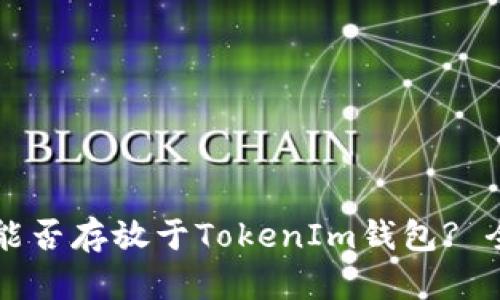 莱特币能否存放于TokenIm钱包? 全面解析