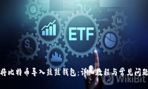 如何将比特币导入鼓鼓钱包：详细教程与常见问题解答