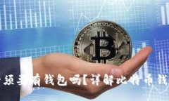 seite玩比特币必须要有钱包