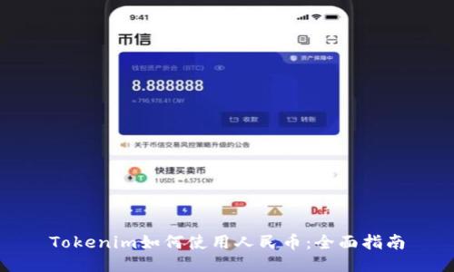 Tokenim如何使用人民币：全面指南
