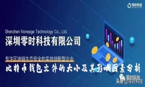比特币钱包文件的大小及其影响因素分析