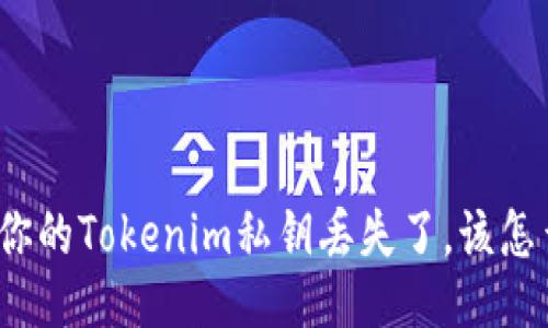 如果你的Tokenim私钥丢失了，该怎么办？