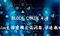如何解决Tokenim支付密码忘