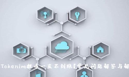 为什么Tokenim提币一直不到账？常见问题解答与解决方法