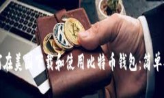 如何在美国下载和使用比