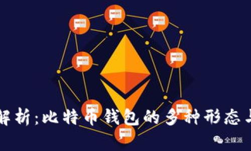 深入解析：比特币钱包的多种形态与组成