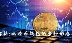深入解析：比特币钱包的