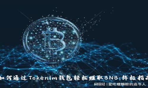 如何通过Tokenim钱包轻松赚取BNB：终极指南