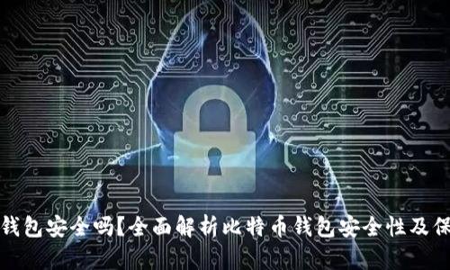 比特币钱包安全吗？全面解析比特币钱包安全性及保护措施