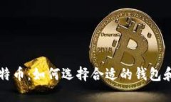 掌握比特币：如何选择合