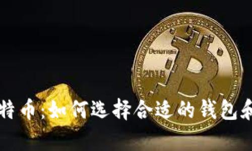 掌握比特币：如何选择合适的钱包和客户端