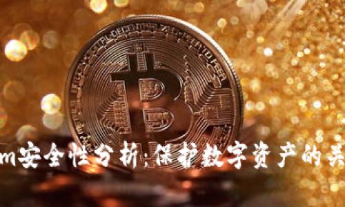 Tokenim安全性分析：保护数字资产的关键措施