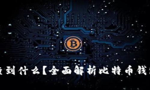 比特币钱包能查到什么？全面解析比特币钱包的功能与隐私