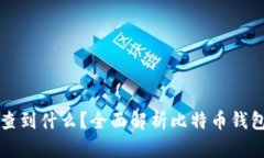比特币钱包能查到什么？