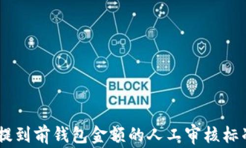 
USDT提到前钱包金额的人工审核标准详解